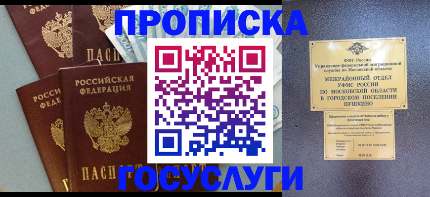 прописка гарантия в Курске